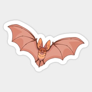 Long-eared bat Sticker